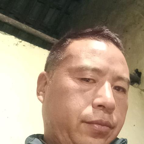 自动