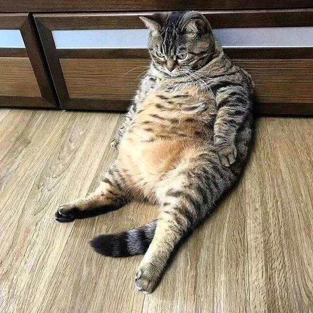 111