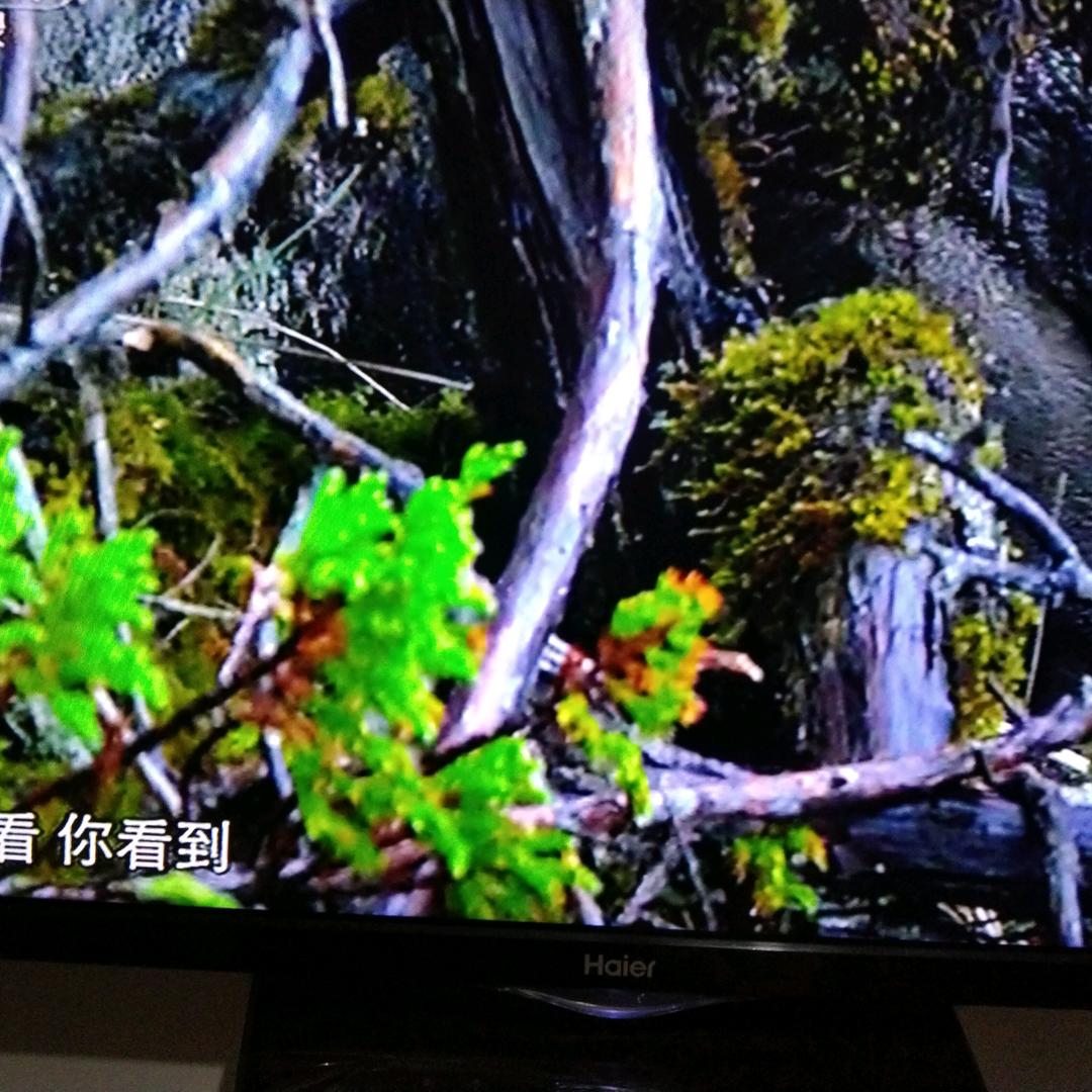 顺山游