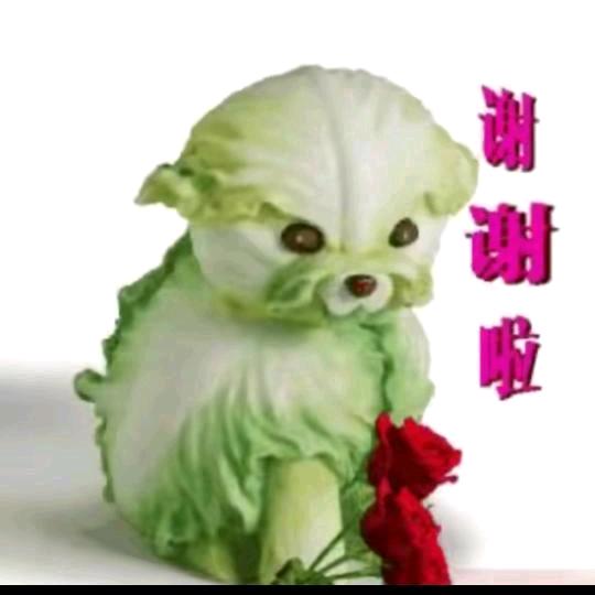 封心锁爱@
