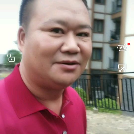 红花陆叶
