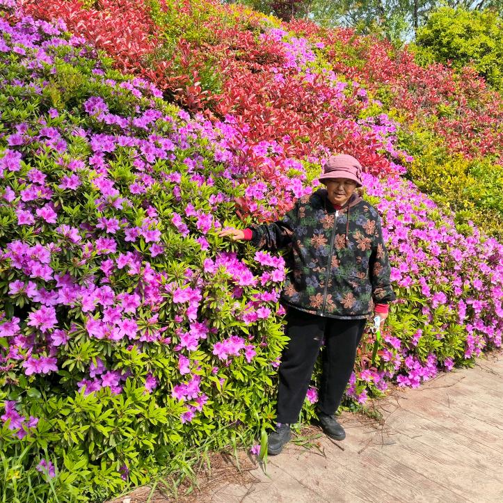 希花