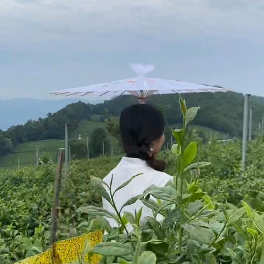 南灵儿