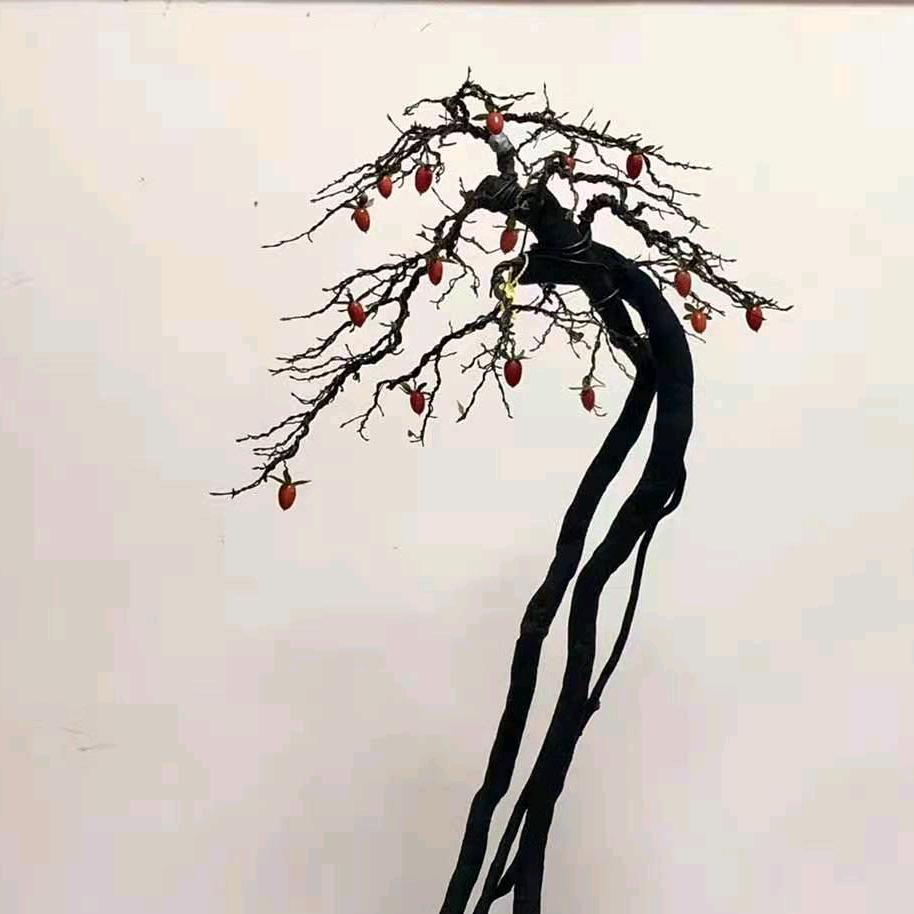 赫章县艺帆园艺