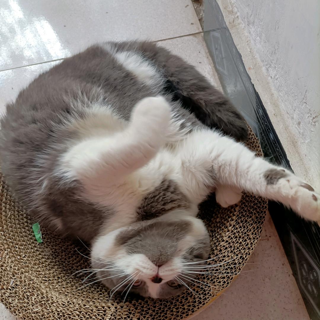 好好
