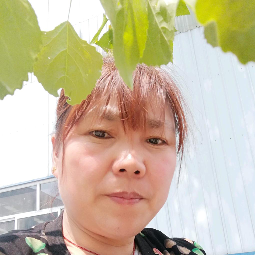 叶子