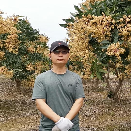 百色金色谷农业【凌参谋长】