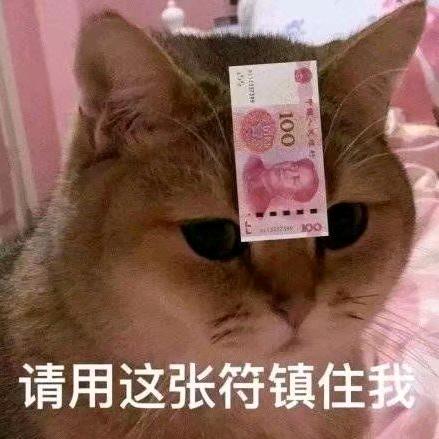 尹金兰