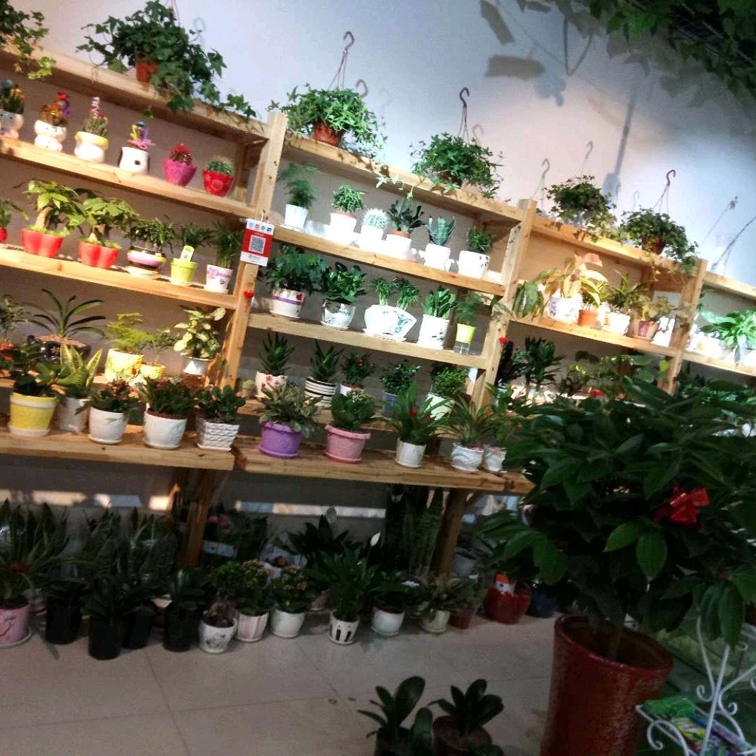 花湖同馨缘