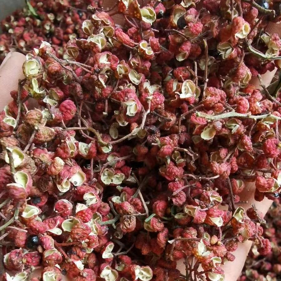 韩城市段永刚花椒