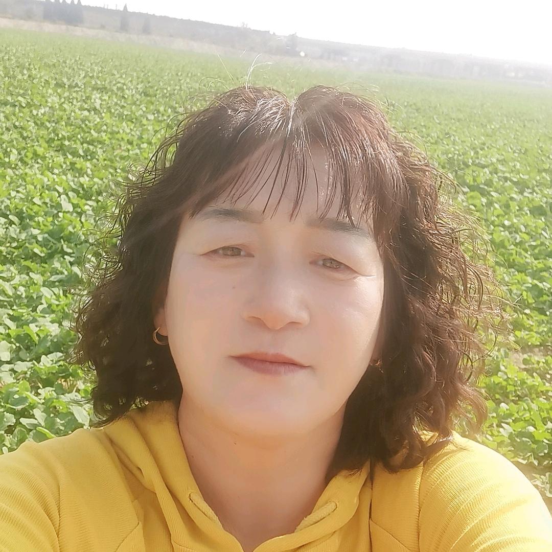 鼎盛彩钢大荔雷姐