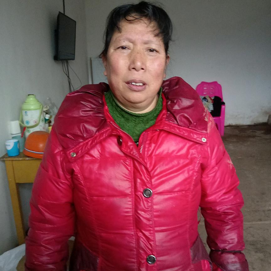 凤姐