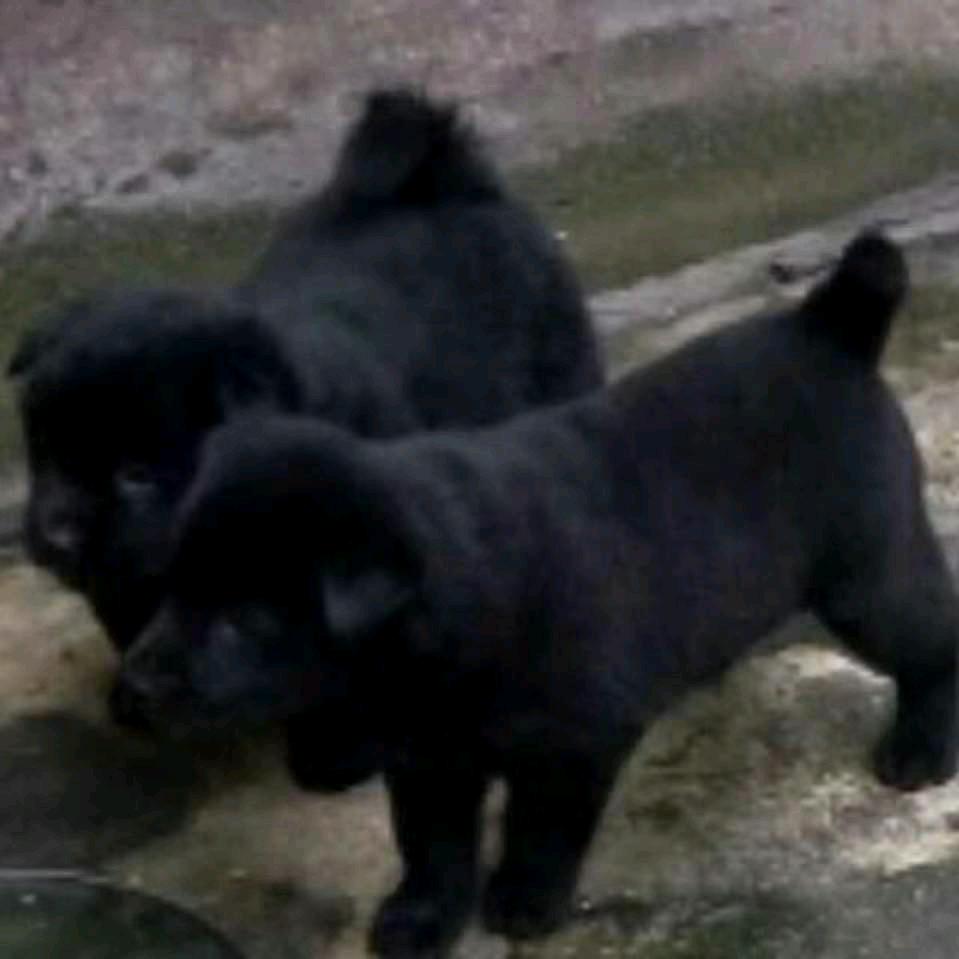 王者，英雄，地下城