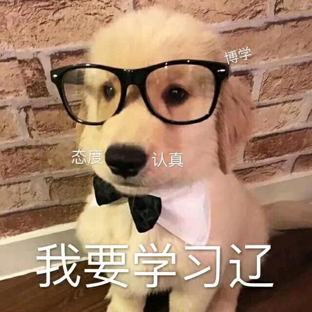 白也诗无敌