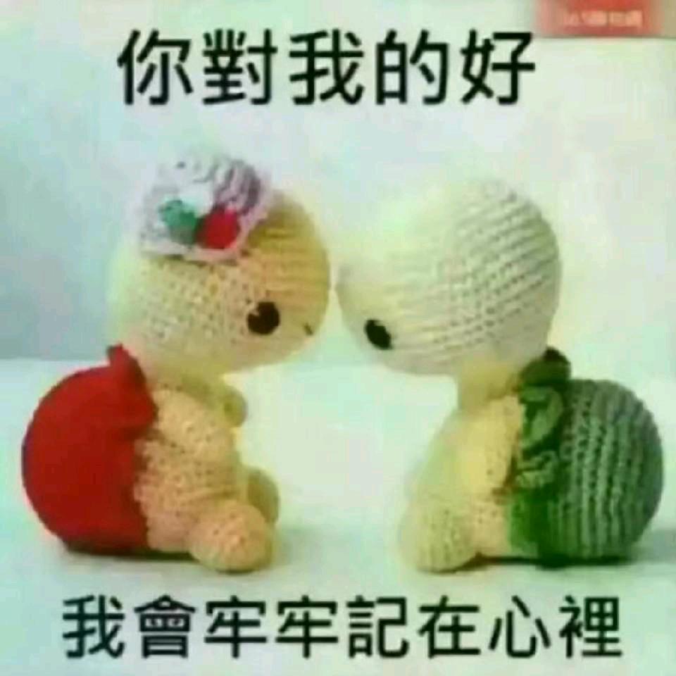南雁北飞