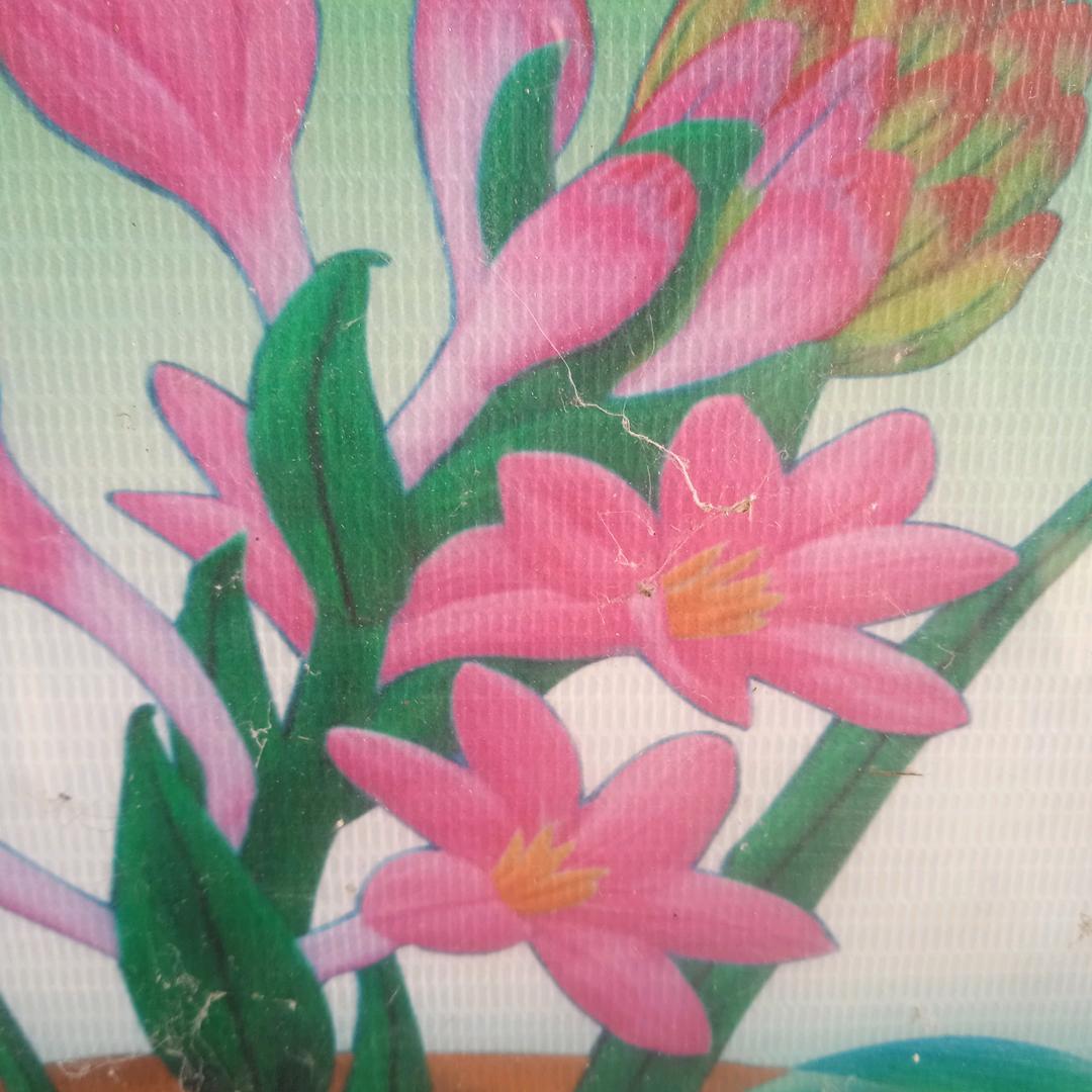 用户7091169626941风姐
