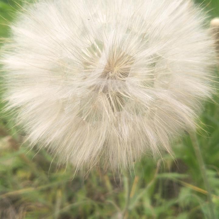 平度－房产郝姐