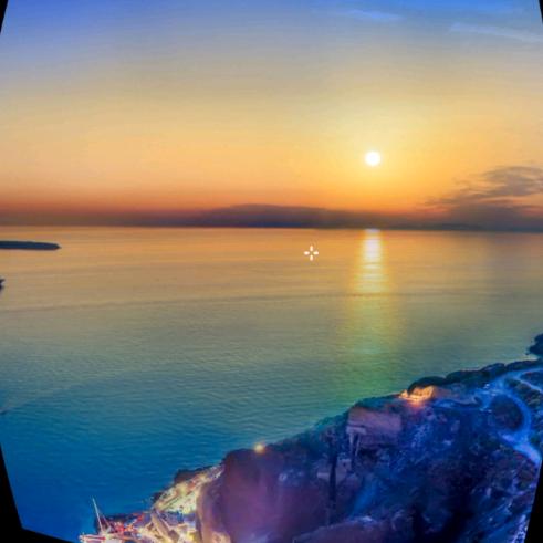 懒猫和调皮猴儿