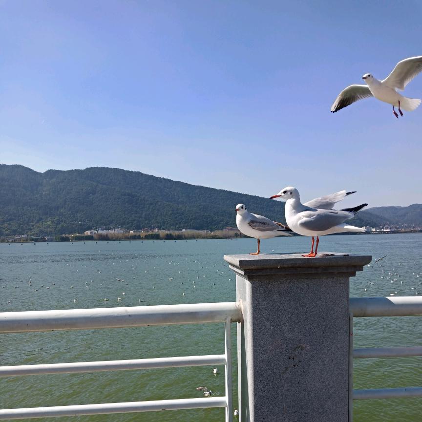 红颜易老