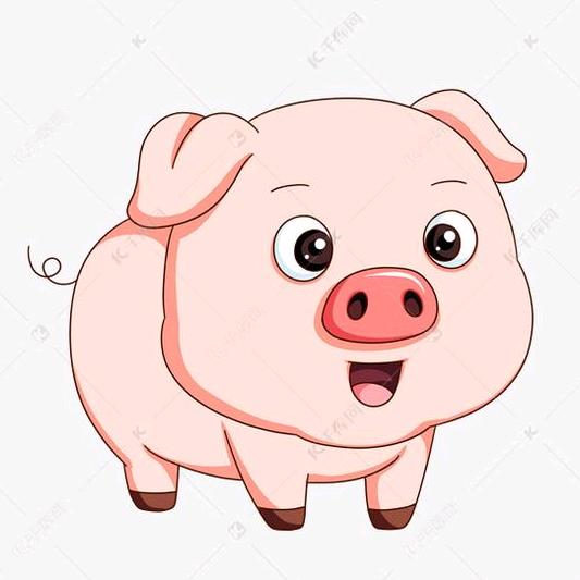 杨小第 生猪购销全国调运