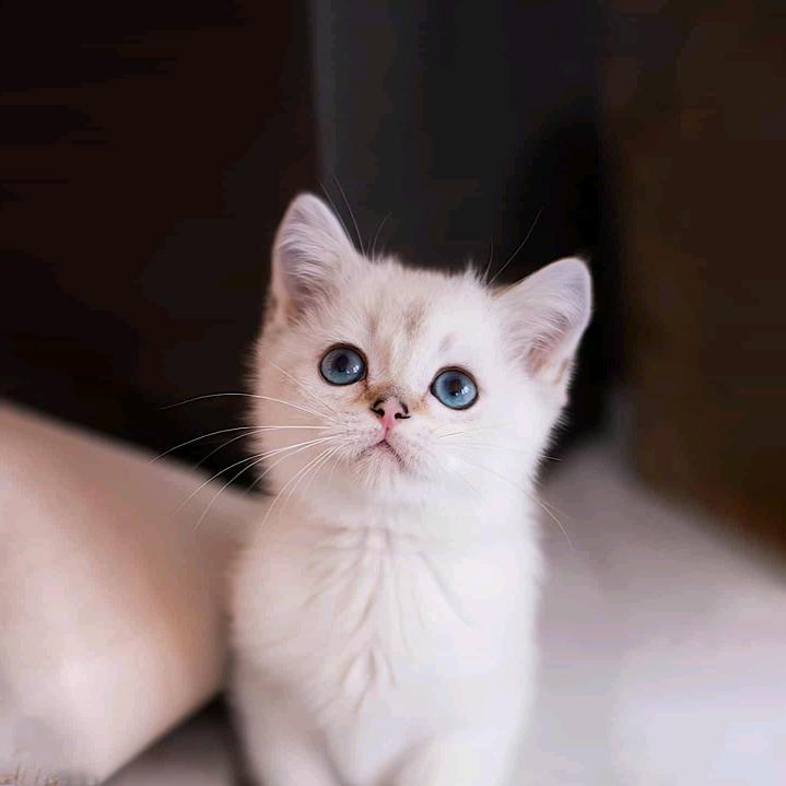 锡秀姐