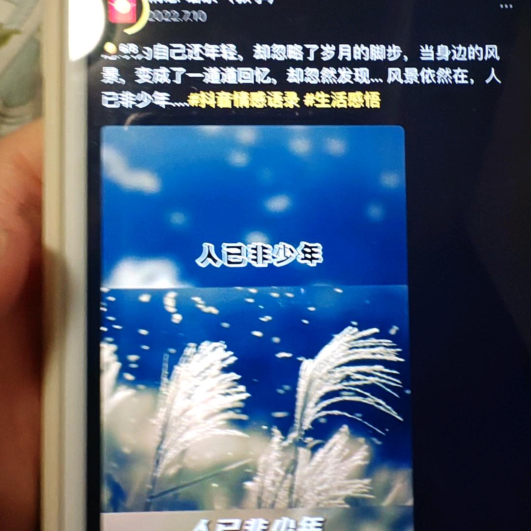 向着太阳迎着光