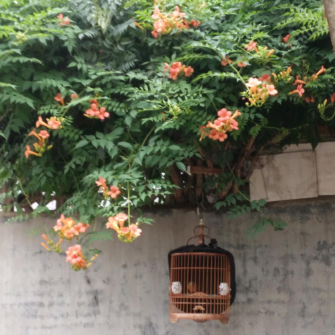 早起的鸟儿有虫吃