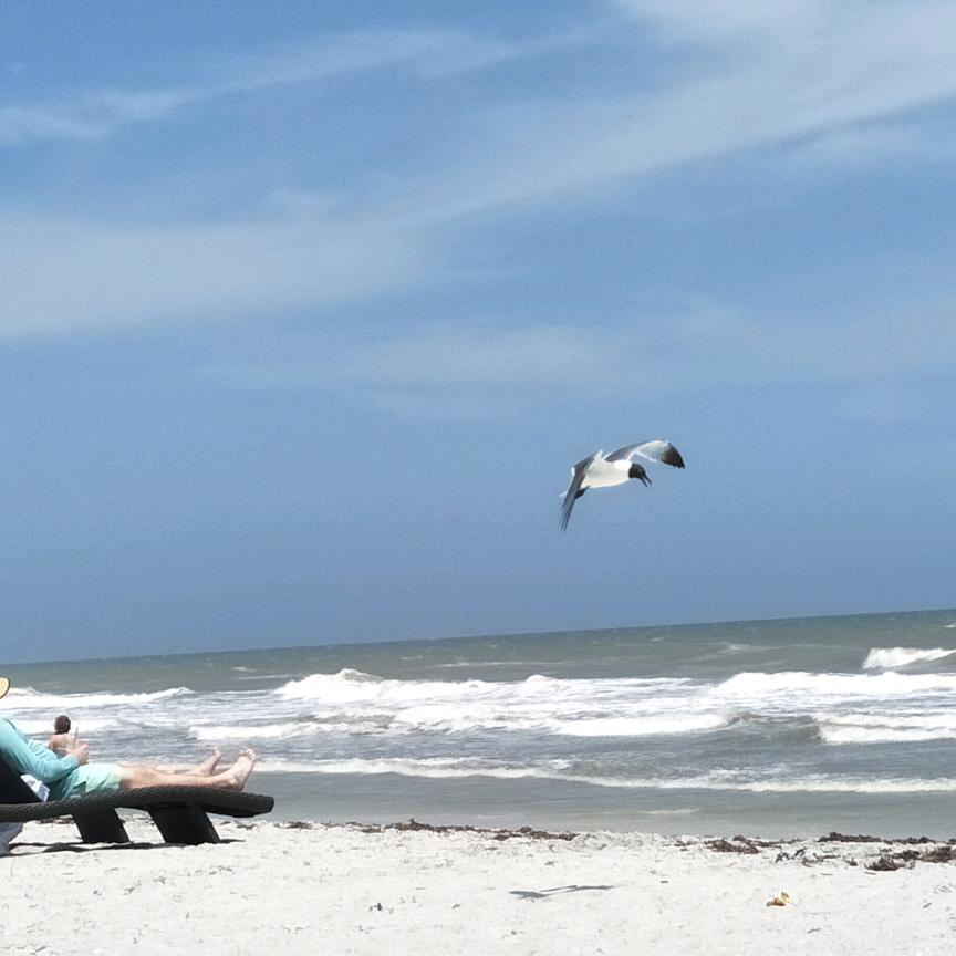 💕💕最是橙黄橘绿时💞💞