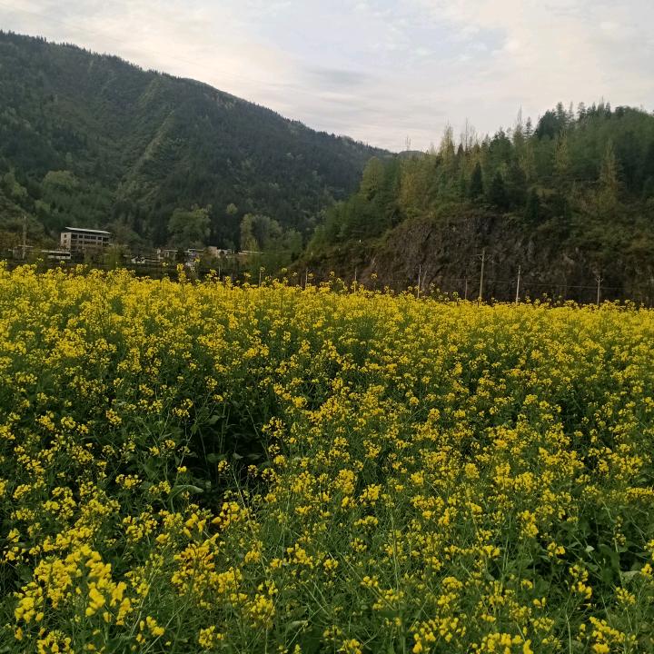 永久的期盼肖云政