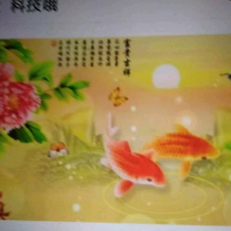 用户海纳百川