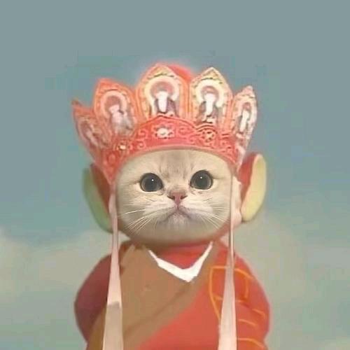 杜小二