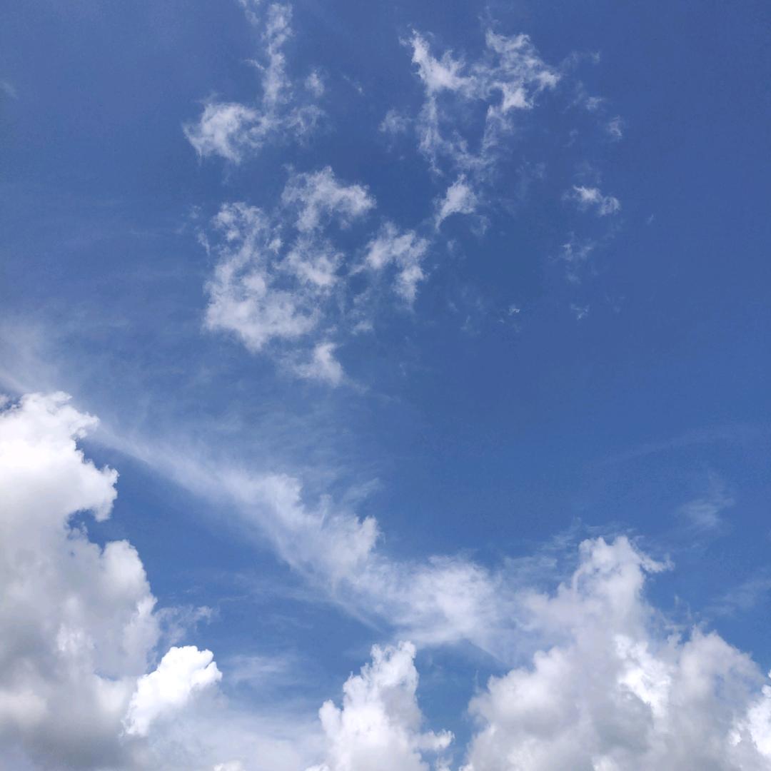 英西茶业（红茶和绿茶）