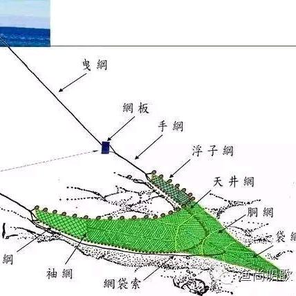 陆逊渔网
