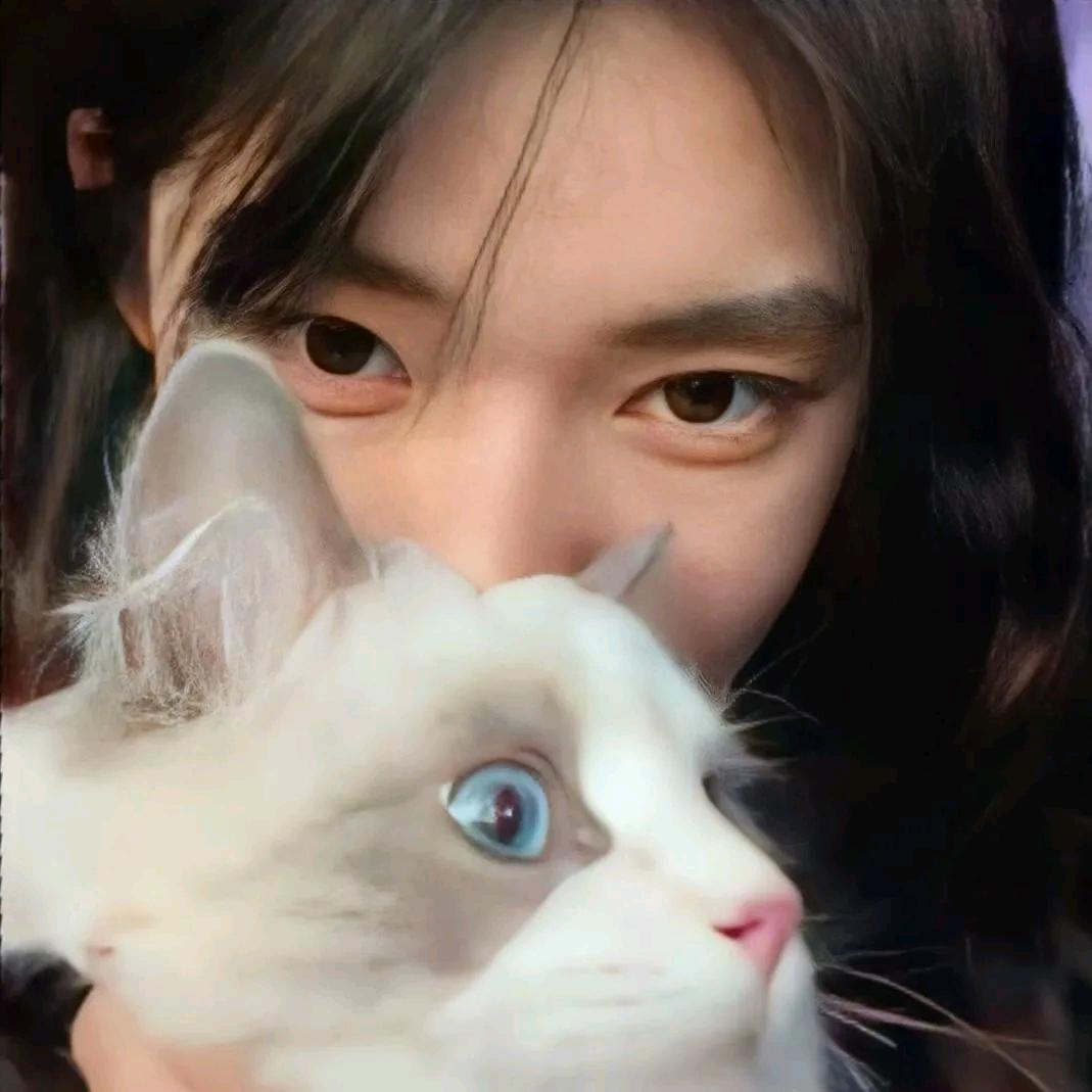 眼睛里