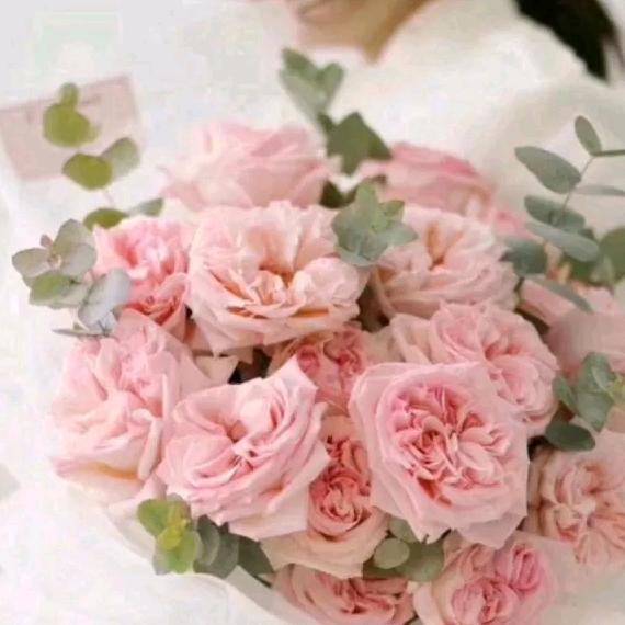 戏迷姐姐🍁🍁