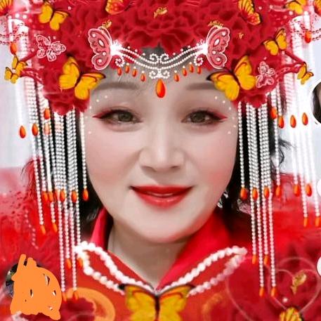 启凤