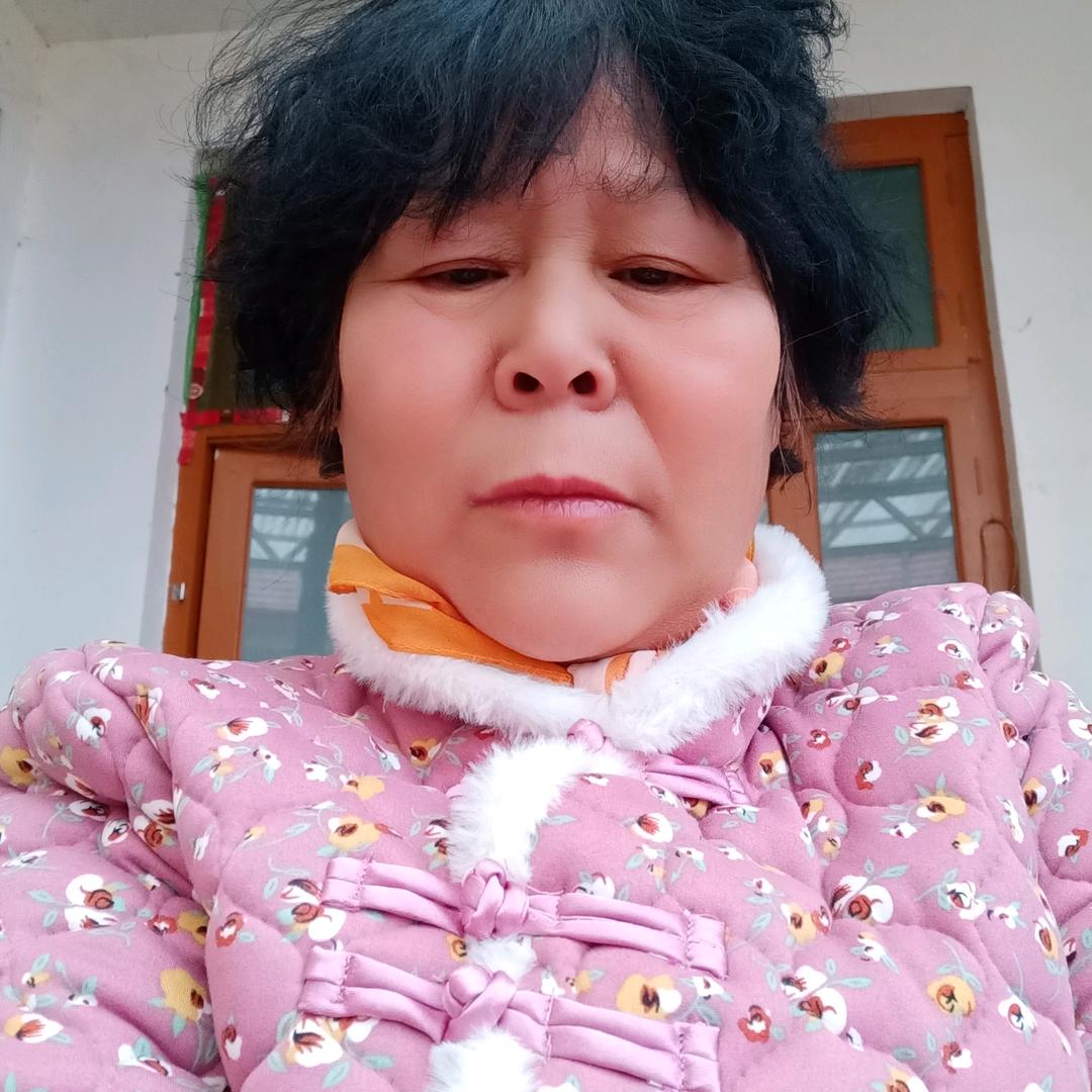 爱菊
