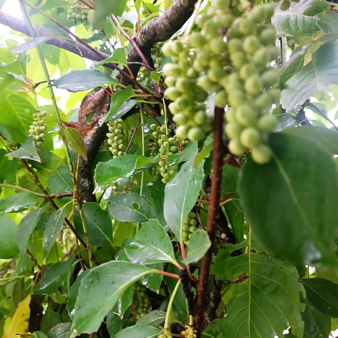 余生毕是你
