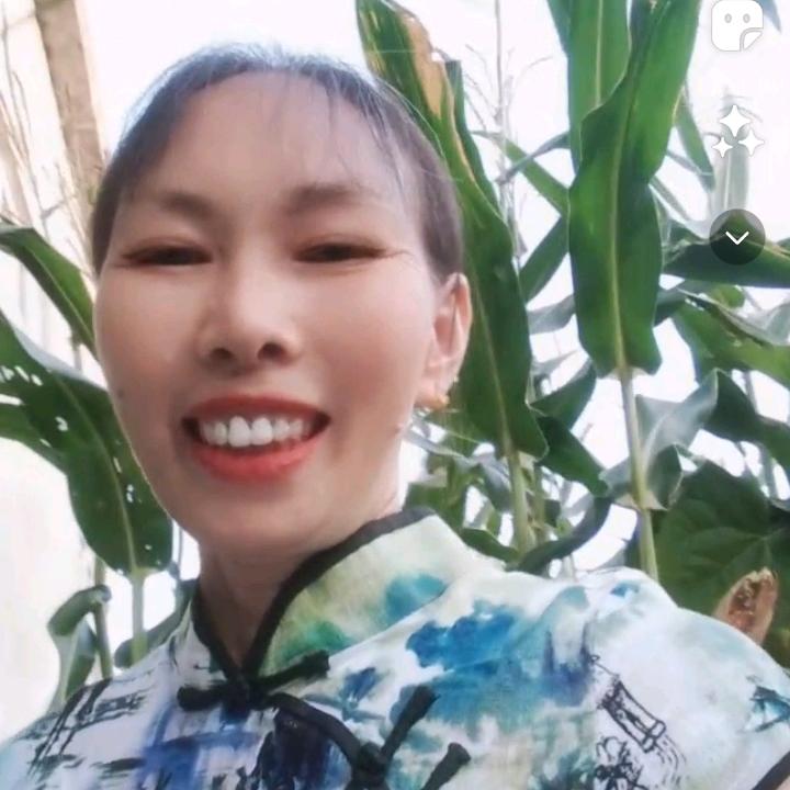 农村姐