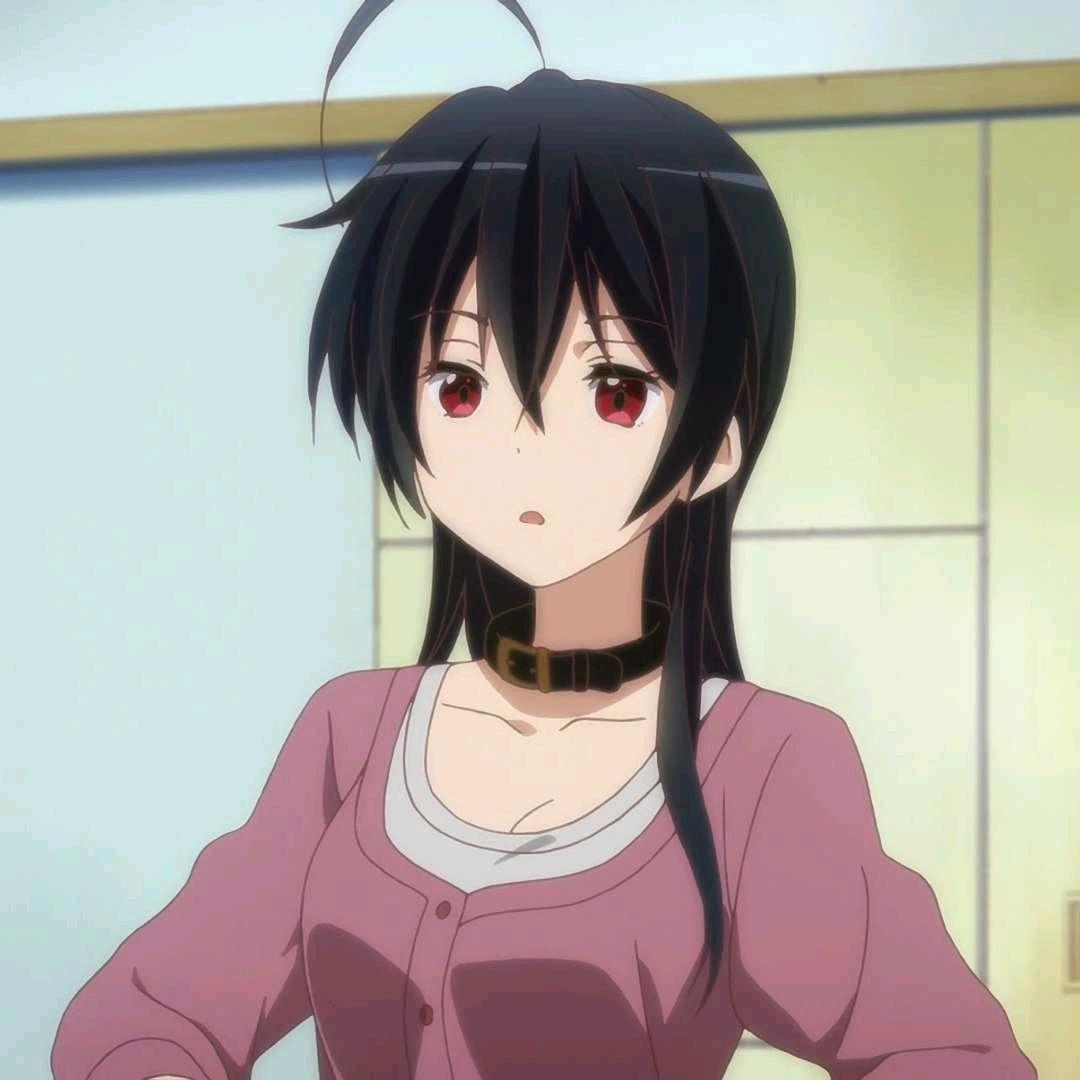 十花赛高