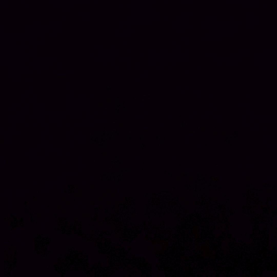 .08./