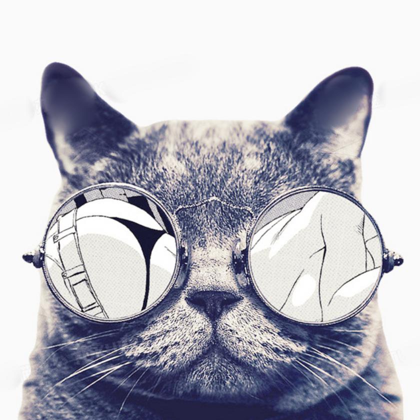 会画画的猫博士