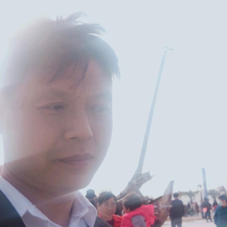 杨了杨