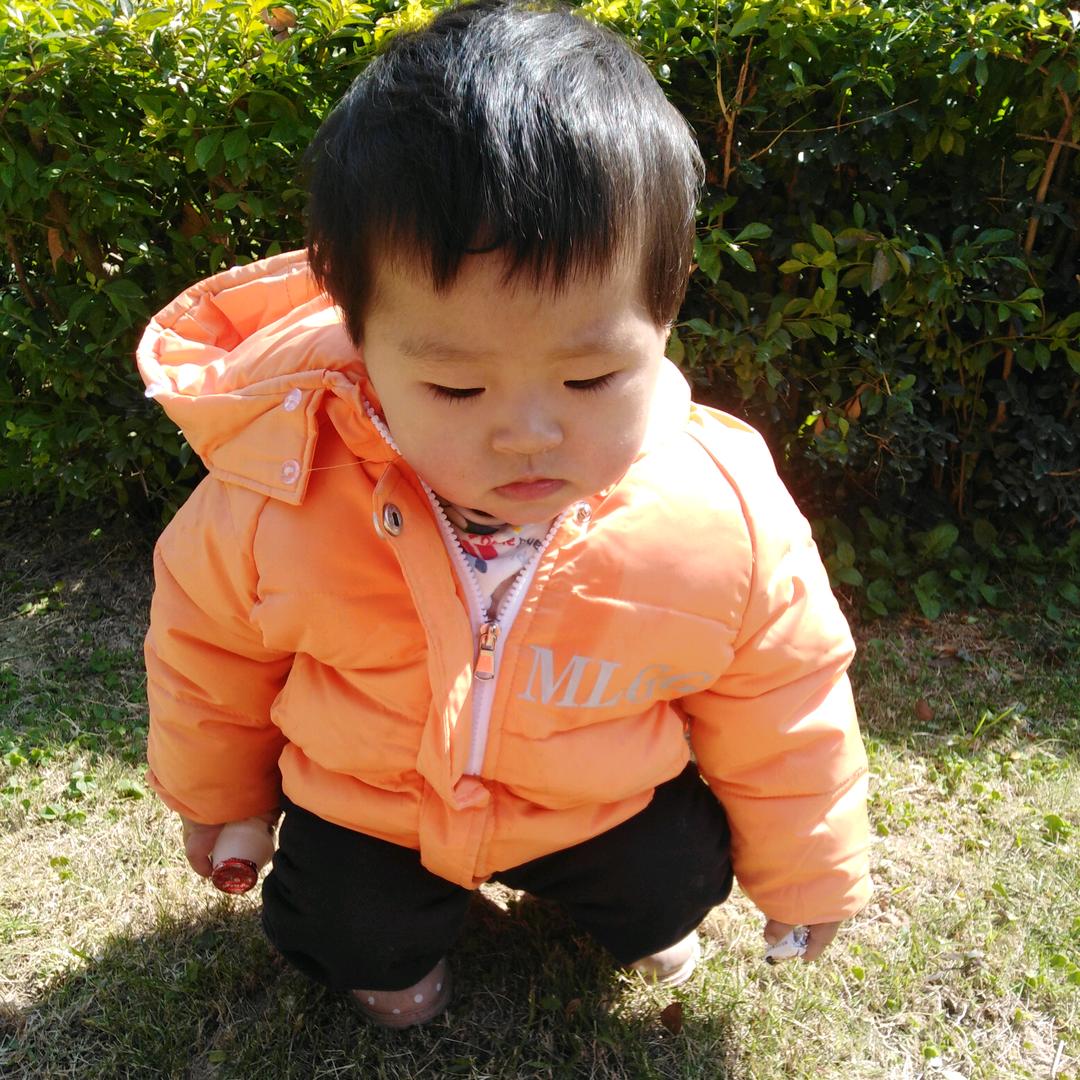 陈明清