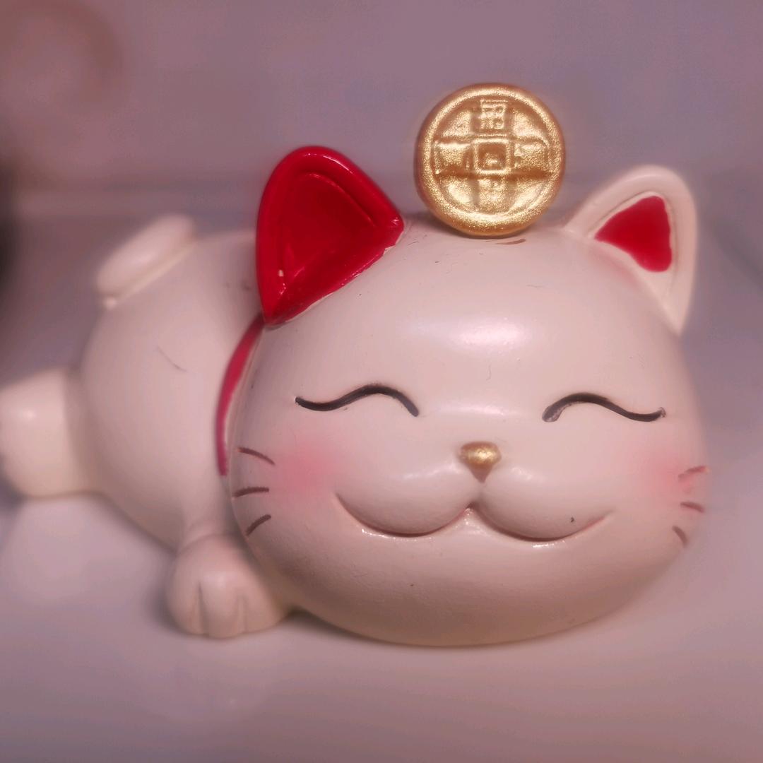 拾光缝