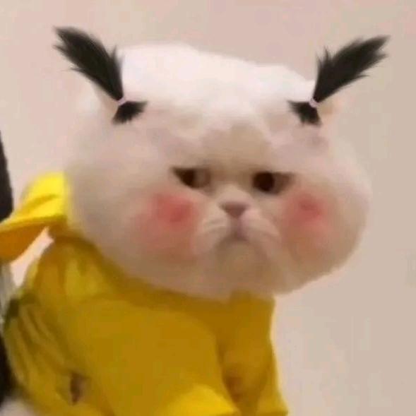 三个金Il✰░
