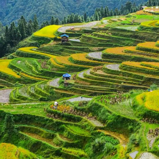 为你加油！！！！！！　☆  *