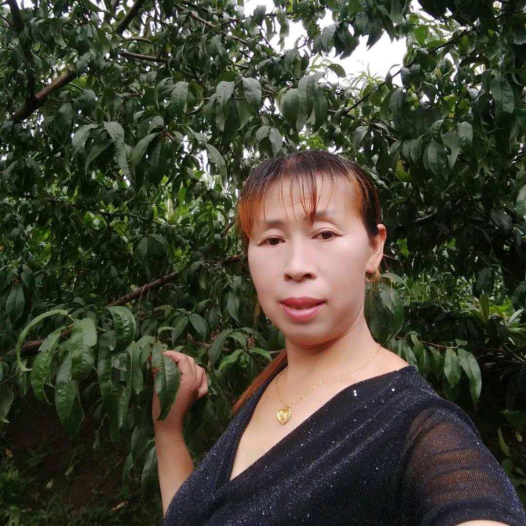 水中玫瑰