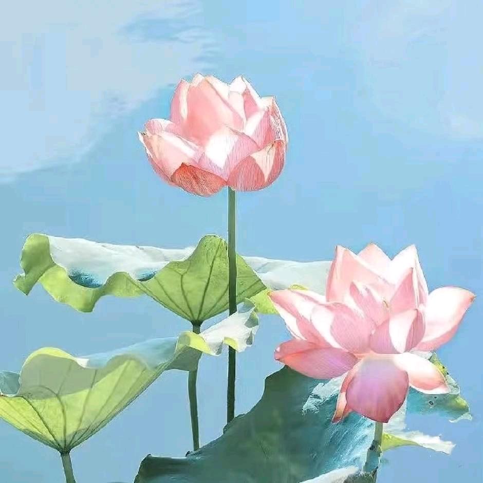 -我就是我-