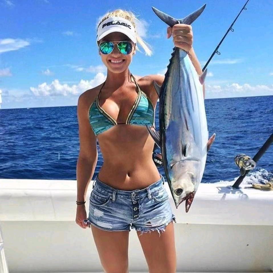 小野猫抓鱼好物